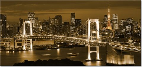 115cm 55cm Obraz ścienny Rainbow Bridge Tokio druk rama   płótno 