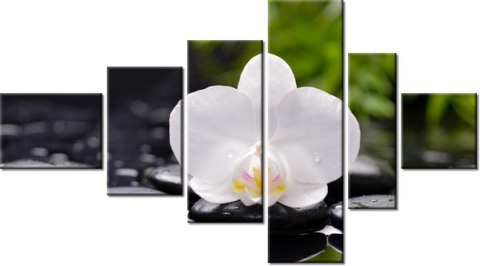 100cm 180cm Obraz 6 elem Biała orchidea ścienny  