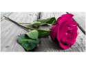 115cm 55cm Obraz ścienny Różowa róża moście druk rama   płótno 