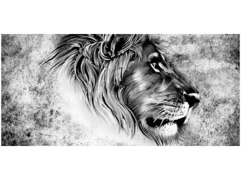 115cm 55cm Obraz ścienny Głowa lwa druk rama   płótno 