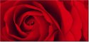 115cm 55cm Obraz ścienny Czewona róża druk rama   płótno 