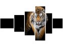 100cm 180cm Obraz 6 elem Tygrys ścienny  