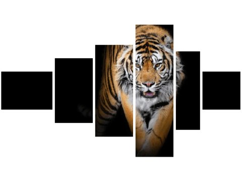 100cm 180cm Obraz 6 elem Tygrys ścienny  