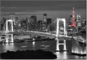 100 70cm Obraz płótno Tokyo most tęczowy    płótno rama