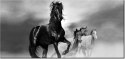 115cm 55cm Obraz ścienny Czarny koń druk rama   płótno 