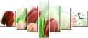 70cm 160cm ZEGAR 7 eleme Czerwone tulipany druk   obraz 