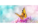 115cm 55cm Obraz ścienny Motyl kwiatkach druk rama   płótno 