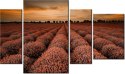 135cm 80 obraz 4 elem Oszałamiający krajobraz lawendą pomarańczu ścienny   