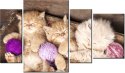 135cm 80 obraz 4 elem Śpiące koty misce ścienny   