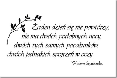 120cm 80cm obraz napis Żaden dzień się nie powtórzy druk   