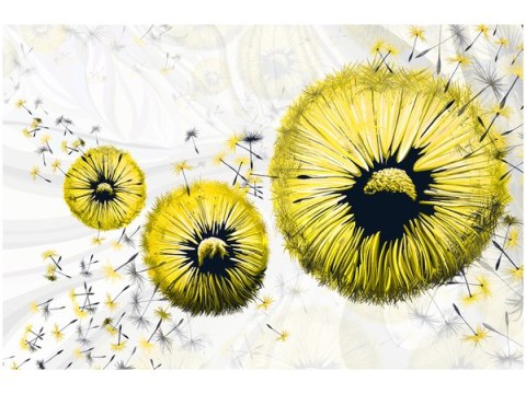 100 70cm Obraz płótno Żółte dmuchawce    płótno rama